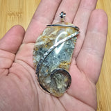 Oregon Graveyard Point Plume Agate Fang Pendant in Sterling Silver