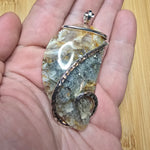 Oregon Graveyard Point Plume Agate Fang Pendant in Sterling Silver