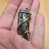 Oregon Bumblebee Marcasite Plume Agate Tooth Shape Pendant in Sterling Silver