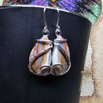 Crazy Lace Agate Earrings in Sterling Silver