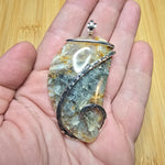 Oregon Graveyard Point Plume Agate Fang Pendant in Sterling Silver