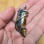 Oregon Bumblebee Marcasite Plume Agate Tooth Shape Pendant in Sterling Silver