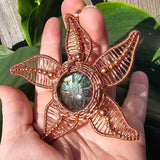 Carved Labradorite Flower Starfish in Copper