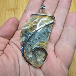 Oregon Graveyard Point Plume Agate Fang Pendant in Sterling Silver