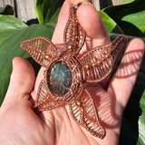 Carved Labradorite Flower Starfish in Copper