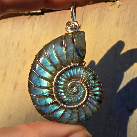 Carved Blue Green Labradorite Ammonite Shell Pendant