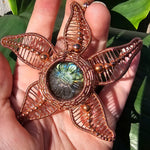 Carved Labradorite Flower Starfish in Copper