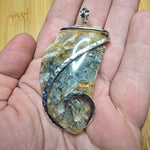 Oregon Graveyard Point Plume Agate Fang Pendant in Sterling Silver