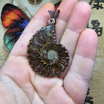 Large Fossil Ammonite Pendant in Copper with Woven Bail